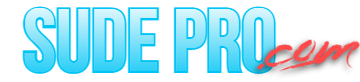 business name